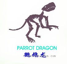 鹦鹉龙