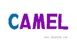 CAMEL