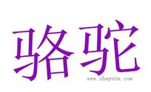 骆驼