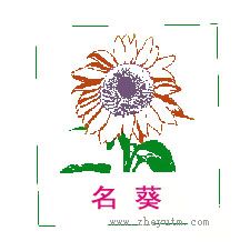 名葵