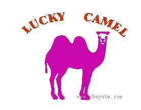 LUCKY CAMEL