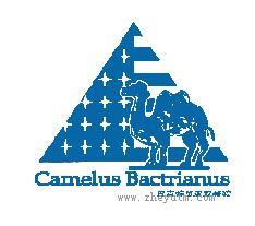 CAMELUS BACTRIANUS