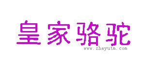 皇家骆驼