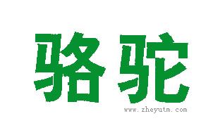 骆驼