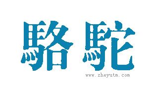 骆驼