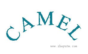 CAMEL