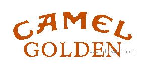 CAMEL GOLDEN