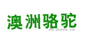 澳洲骆驼