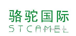 骆驼国际