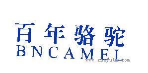 百年骆驼