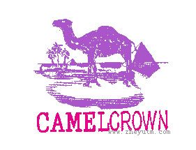 CAMEL CROWN
