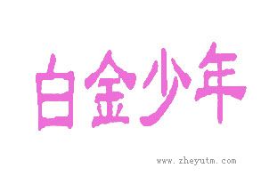白金少年