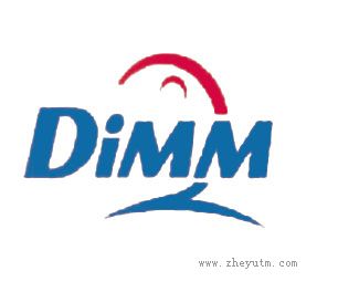 DIMM