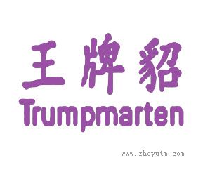 王牌貂