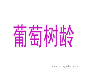 葡萄树龄
