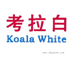 考拉白