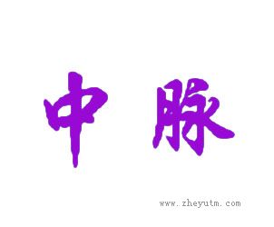 中脉