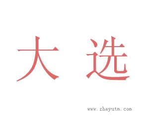 大选