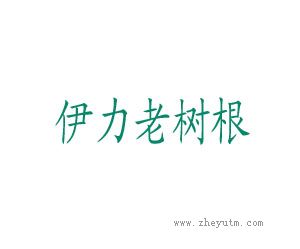 伊力老树根