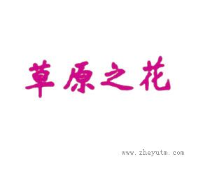 草原之花