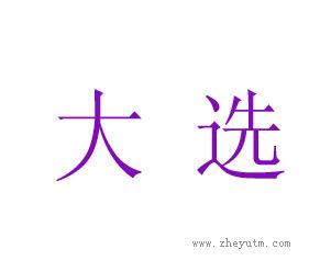 大选