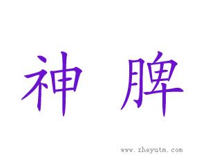神脾