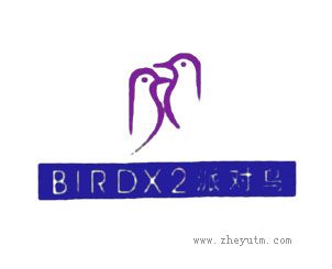 BIRDX2派对鸟