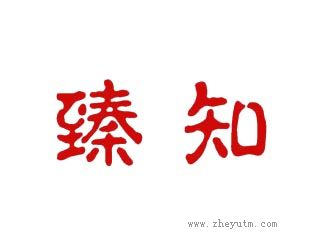 臻知