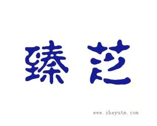 臻芝