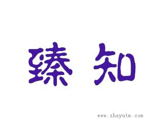 臻知