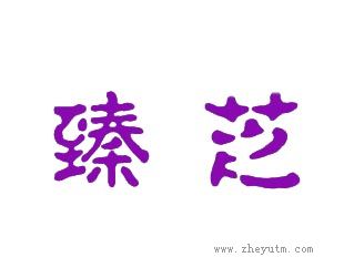 臻芝