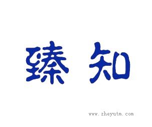 臻知