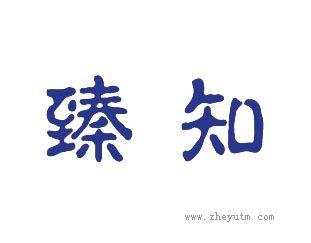 臻知