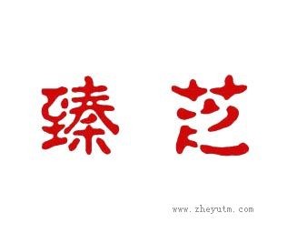臻芝