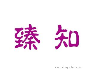 臻知