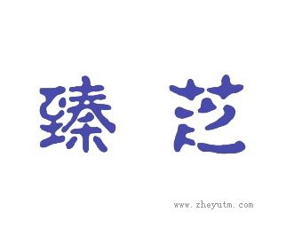 臻芝