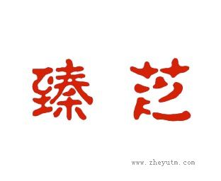 臻芝