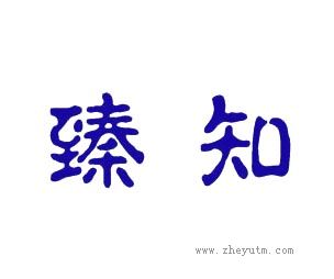 臻知
