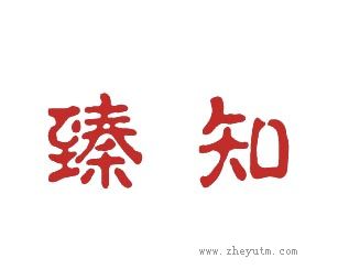 臻知