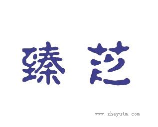 臻芝