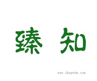 臻知