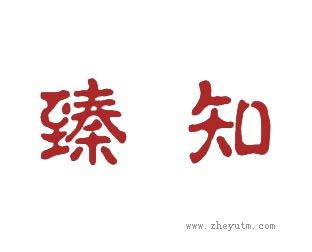 臻知