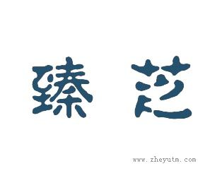臻芝