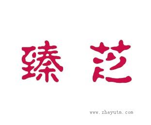 臻芝