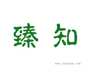 臻知