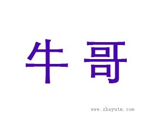 牛哥
