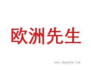 欧洲先生