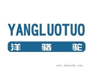 洋骆驼