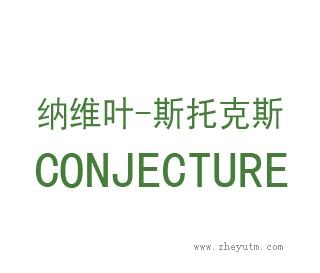 纳维斯-斯托克斯