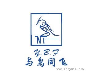 与鸟同飞